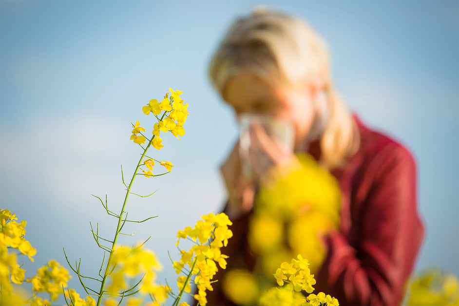 Goggles For Allergies