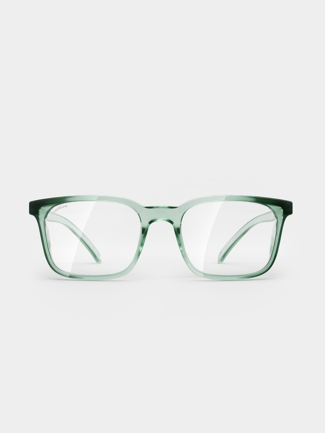 Moss / Medium / Standard - 03