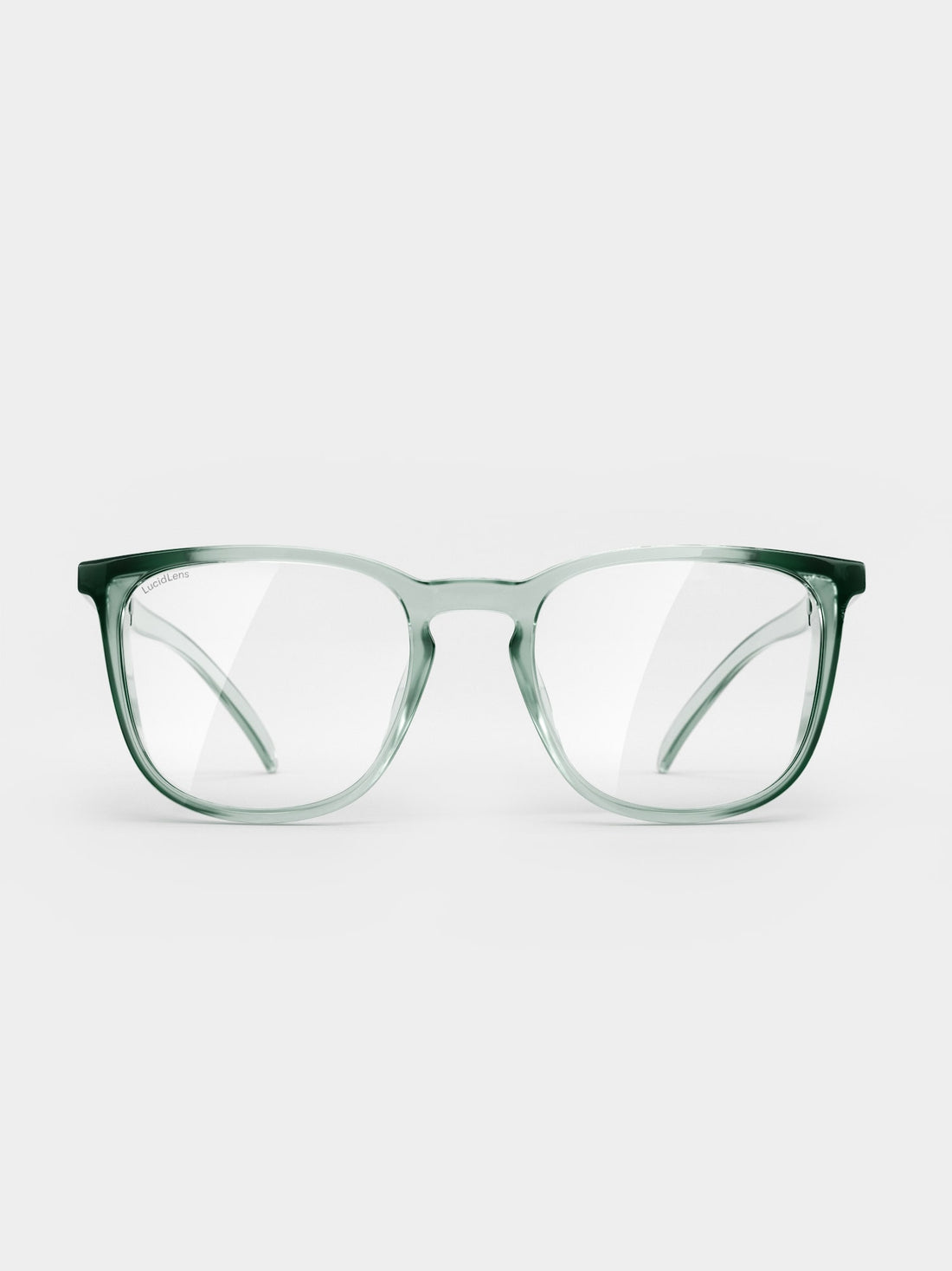 Moss / Medium / Standard - 03